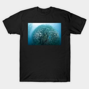 School of Snappers at Sail Rock T-Shirt